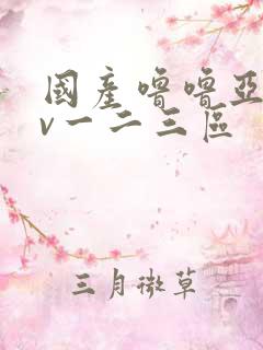 国产噜噜亚洲av一二三区