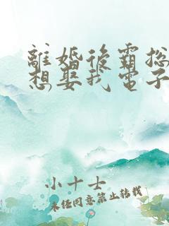 离婚后霸总天天想娶我电子书