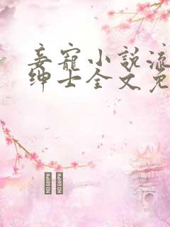 妾宠小说流浪的绅士全文免费阅读