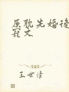 原耽先婚后爱甜宠文