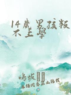 14岁男孩叛逆不上学
