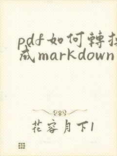 pdf如何转换成markdown