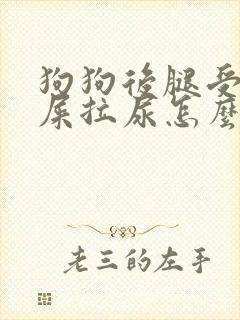 狗狗后腿受伤拉屎拉尿怎么办