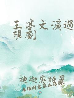王亭文演过的电视剧