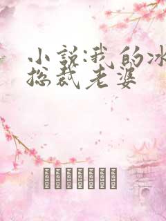 小说:我的冰山总裁老婆