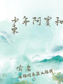 少年阿宾和女房东