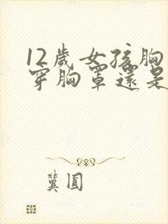 12岁女孩胸大穿胸罩还是穿背心