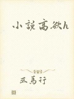 小说高欲h