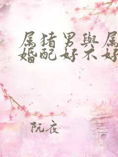 属猪男与属羊女婚配好不好