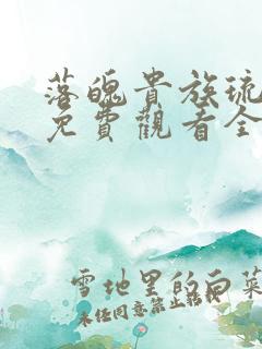 落魄贵族琉璃川免费观看全集高清