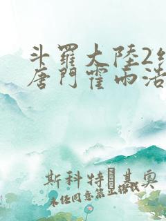 斗罗大陆2绝世唐门霍雨浩的魂灵
