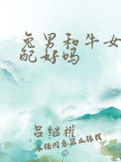 兔男和牛女的婚配好吗