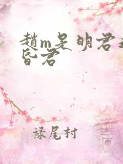 赵m是明君还是昏君