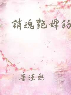销魂艳婢的小说