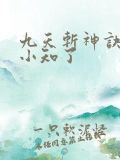 九天斩神诀作者小知了