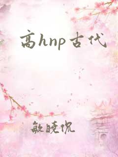高hnp古代