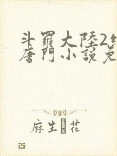 斗罗大陆2绝世唐门小说免费在