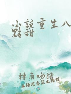 小说重生八零有点甜