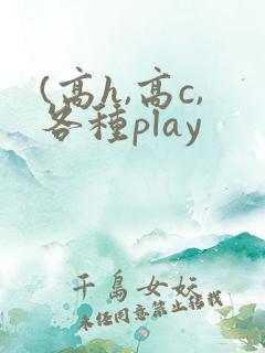 (高h,高c,各种play