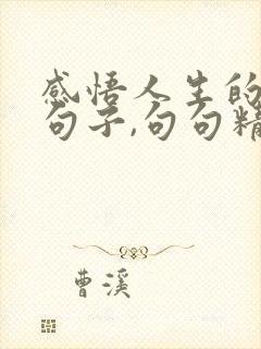 感悟人生的哲理句子,句句精辟