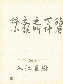 锦衣之下的原著小说叫什么