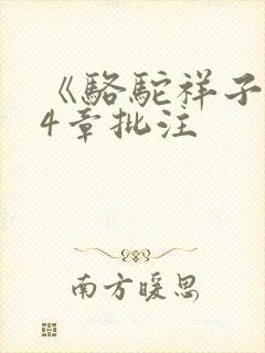 《骆驼祥子》24章批注