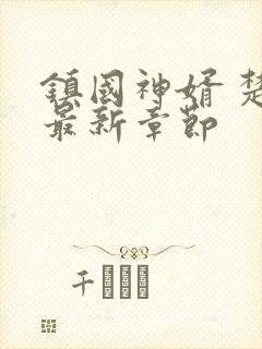 镇国神婿 楚尘最新章节