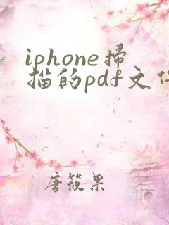 iphone扫描的pdf文件太大怎么办