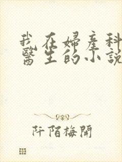 我在妇产科当男医生的小说