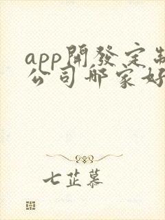 app开发定制公司哪家好一点