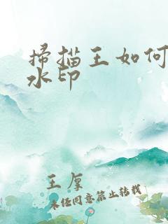 扫描王如何去除水印