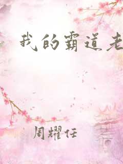 我的霸道老公