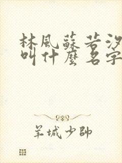 林风苏若汐小说叫什么名字