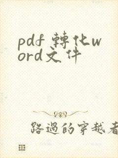 pdf 转化word文件
