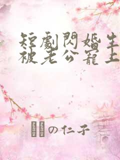 短剧闪婚生子后被老公宠上天