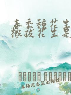 春季种花生,大概拔花生是几月份
