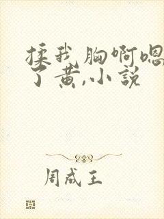 揉我胸啊嗯出奶了黄,小说