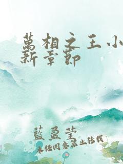 万相之王小说最新章节