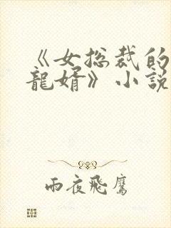 《女总裁的上门龙婿》小说