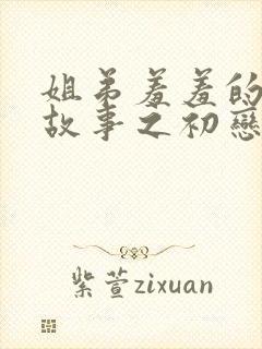 姐弟羞羞的爱情故事之初恋是姐姐