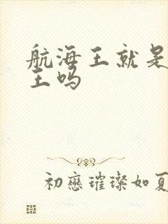 航海王就是海贼王吗