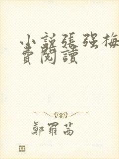 小说张强梅姨免费阅读
