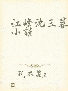 江峰沈玉蓉全文小说