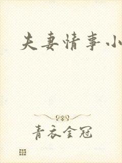 夫妻情事小说