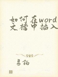 如何在word文档中插入excel文件