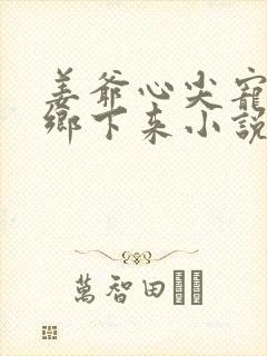 姜爷心尖宠她从乡下来小说在线收听