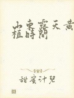 山东露天黄瓜种植时间