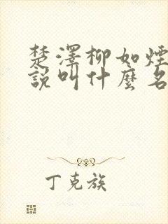 楚泽柳如烟的小说叫什么名字