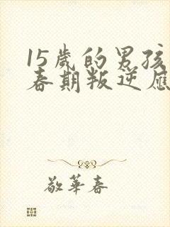 15岁的男孩青春期叛逆应该怎么办