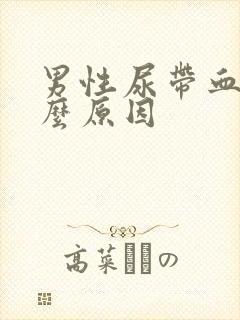 男性尿带血是什么原因